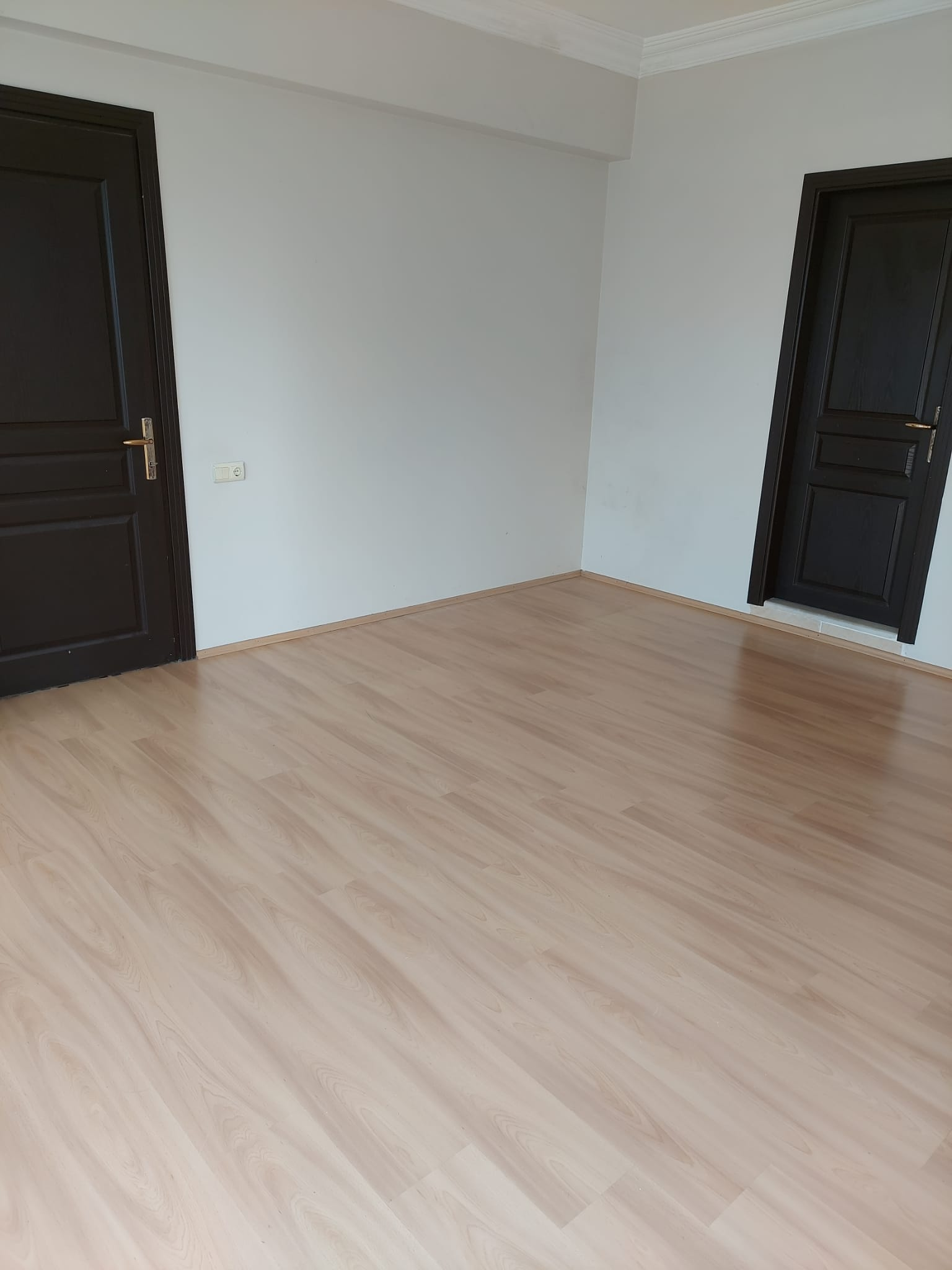 b6f604a3-2d63-4a2b-b9a6-149e6223e583